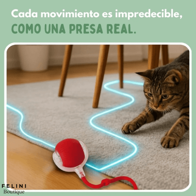 Pelota inteligente ChaseBall