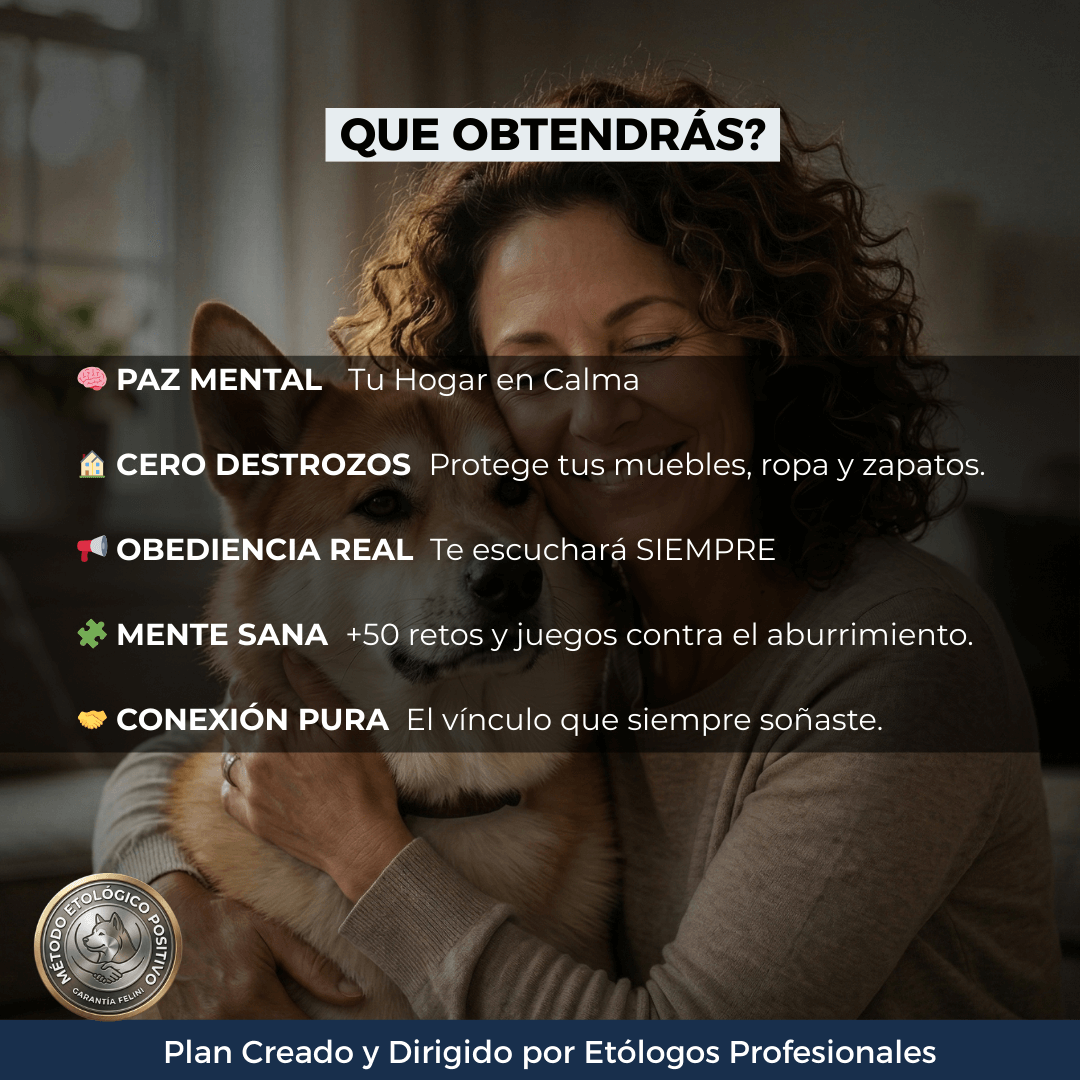 Plan de Adiestramiento Canino Personalizado
