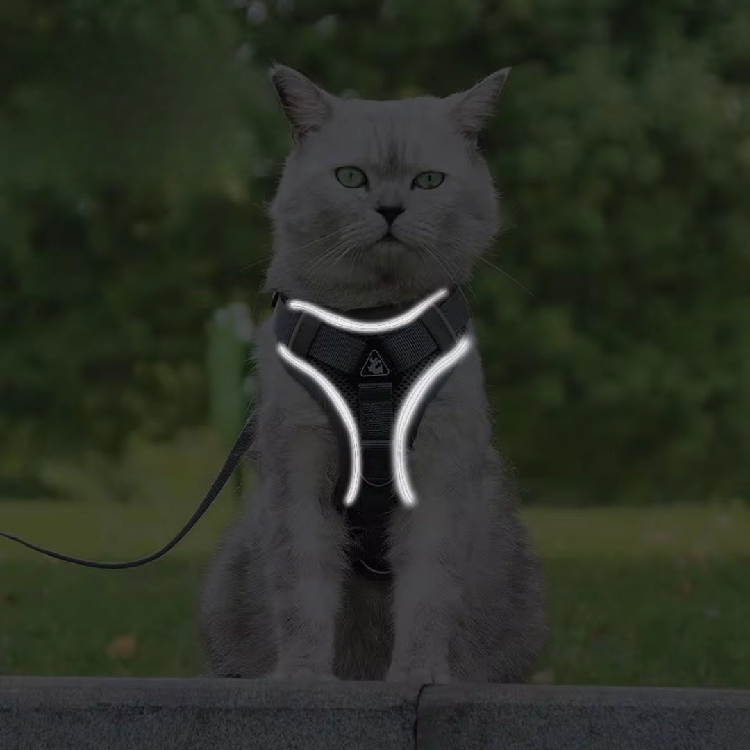 Arnés transpirante y reflectante Wolker