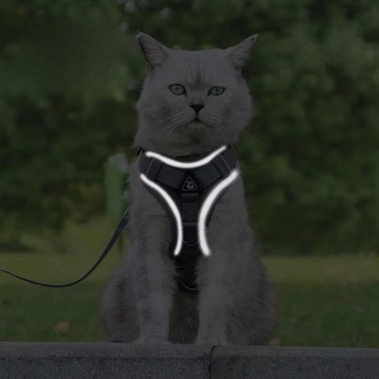 Arnés transpirante y reflectante Wolker