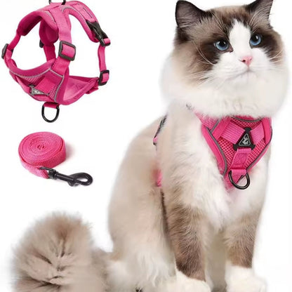 Arnés transpirante y reflectante Wolker