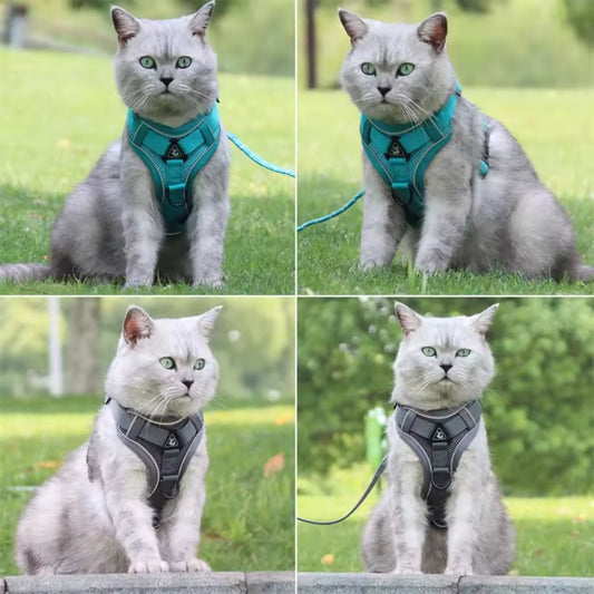 Arnés transpirante y reflectante Wolker para gatos