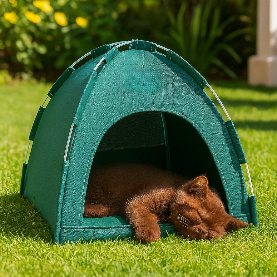 Cama en forma de campaña Family