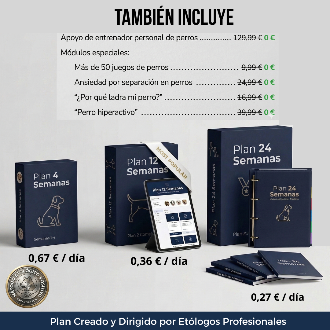 Plan de Adiestramiento Canino Personalizado