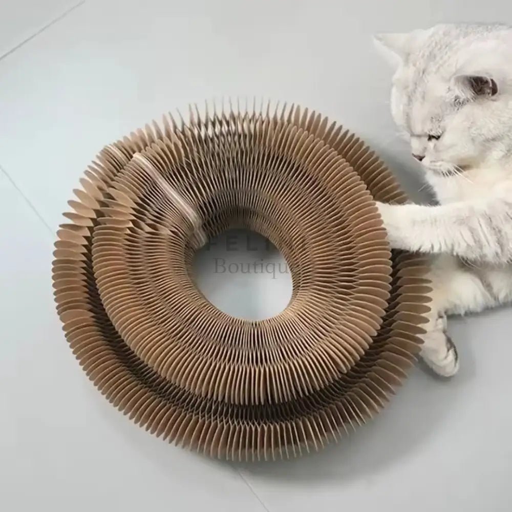 Acordeón Interactivo plegable - Boutique Felini