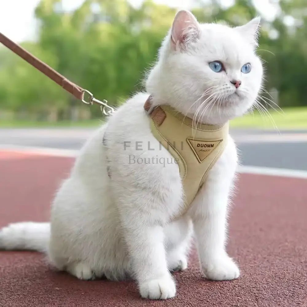 Arnés Bowee - Boutique Felini