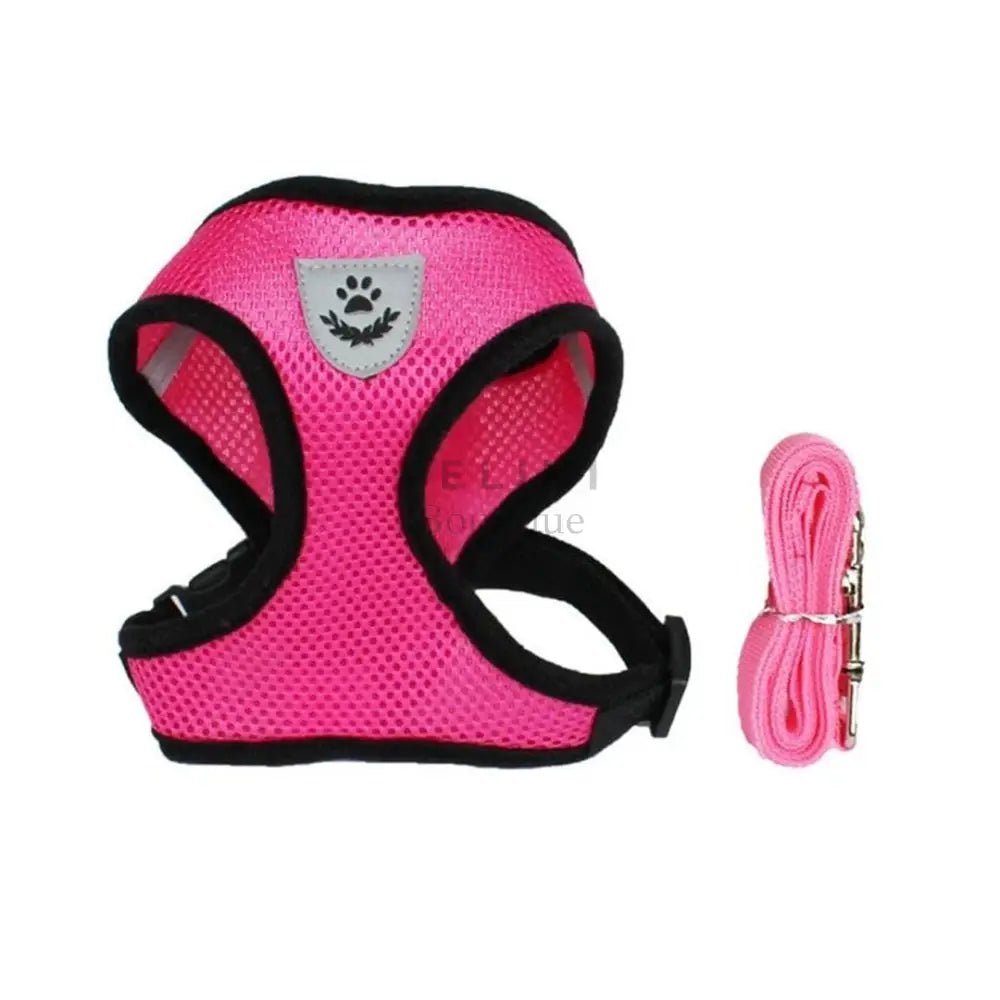 Arnés Catwalk - Boutique Felini