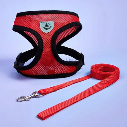 Arnés Catwalk - Boutique Felini