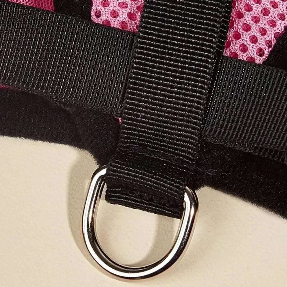 Arnés Catwalk - Boutique Felini