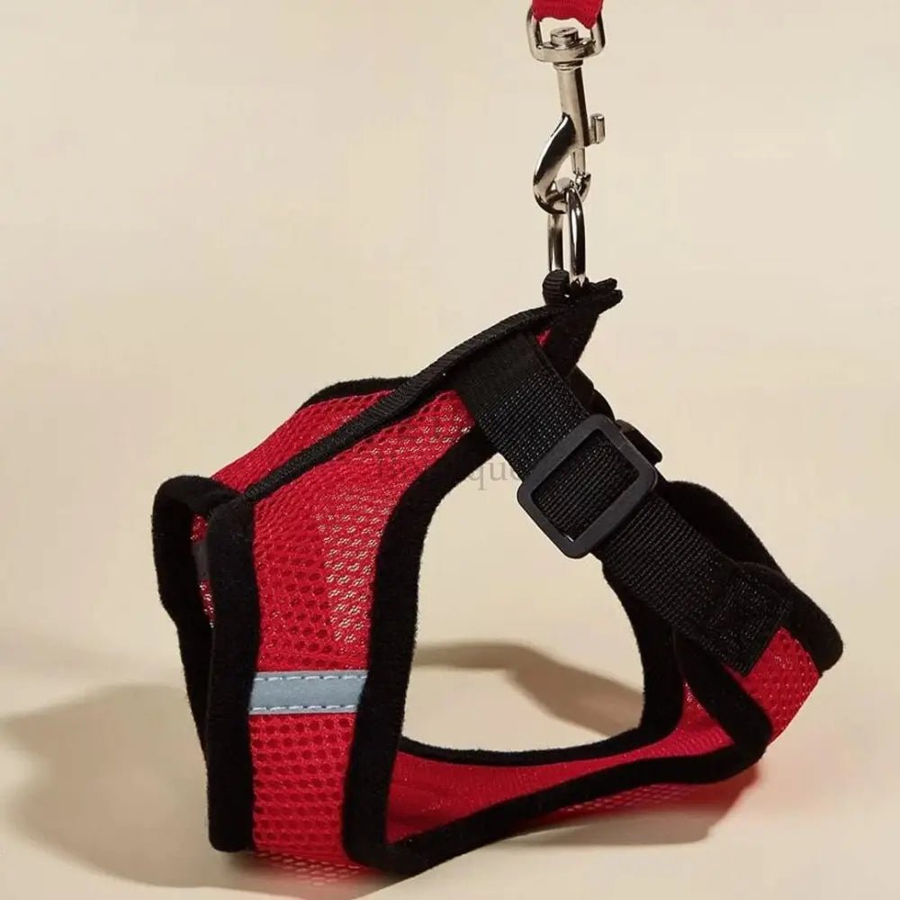 Arnés Catwalk - Boutique Felini