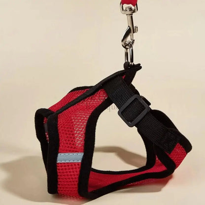 Arnés Catwalk - Boutique Felini