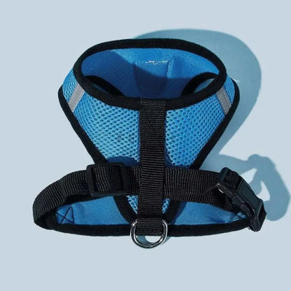 Arnés Catwalk - Boutique Felini