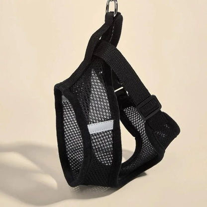 Arnés Catwalk - Boutique Felini