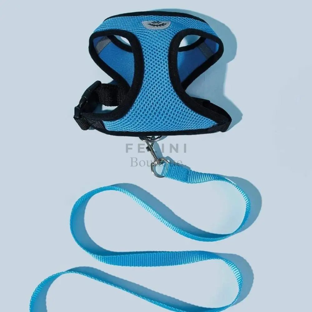 Arnés Catwalk - Boutique Felini