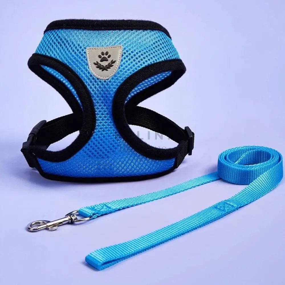 Arnés Catwalk - Boutique Felini