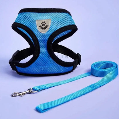 Arnés Catwalk - Boutique Felini