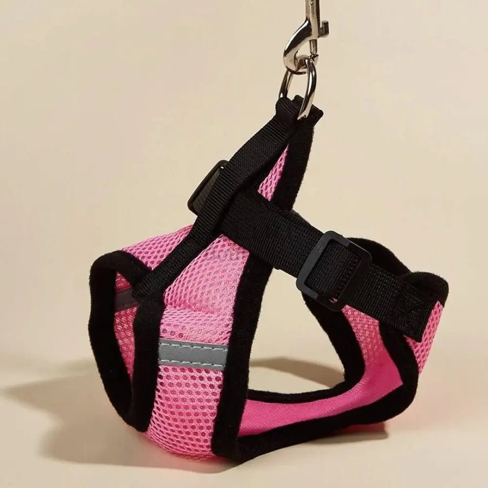 Arnés Catwalk - Boutique Felini