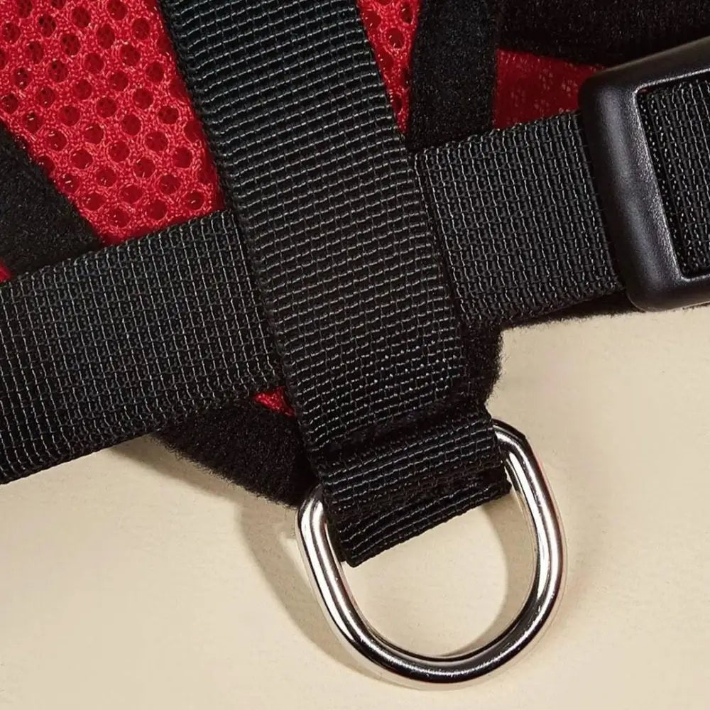 Arnés Catwalk - Boutique Felini