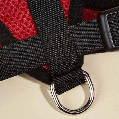 Arnés Catwalk - Boutique Felini