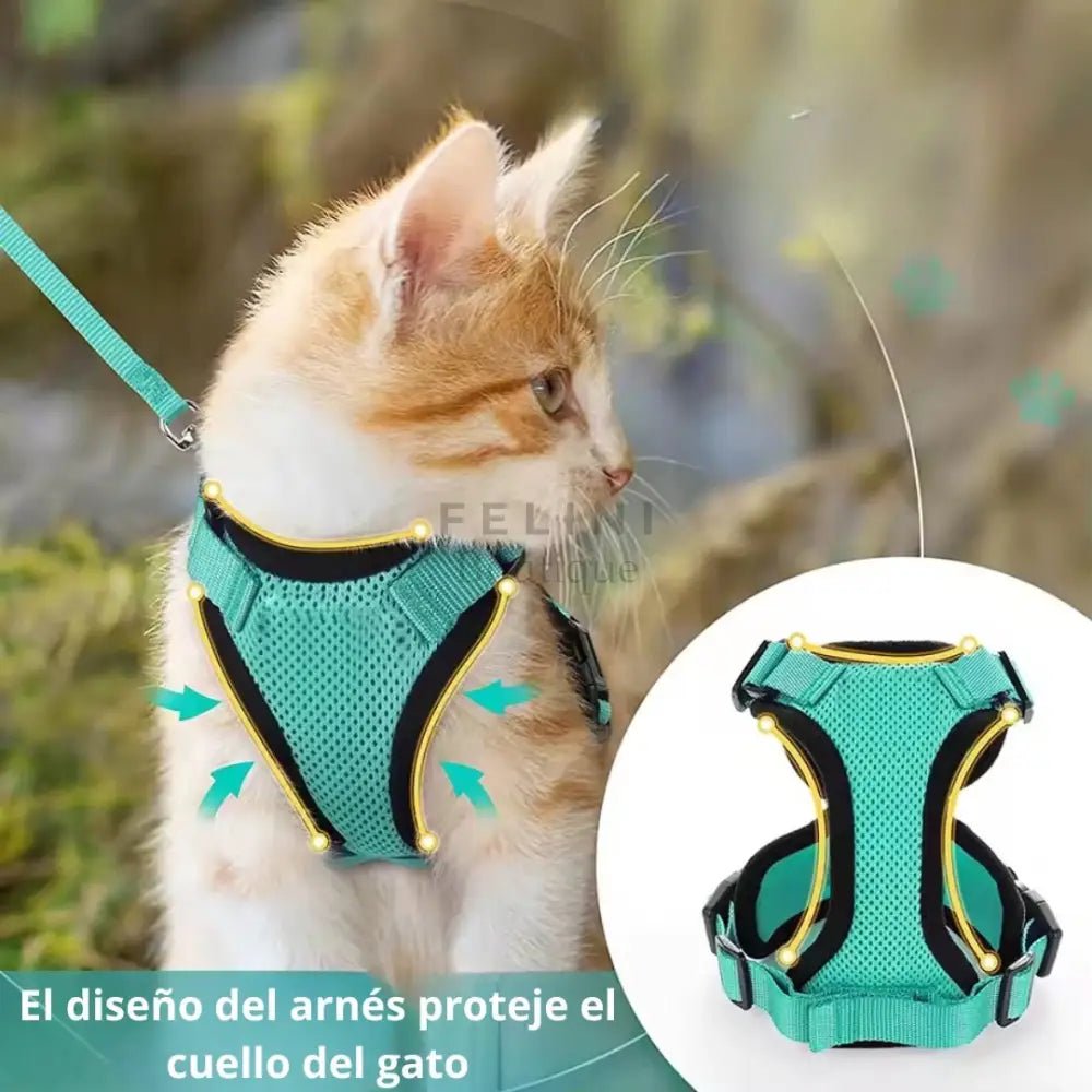 Arnés transpirante Melton - Boutique Felini