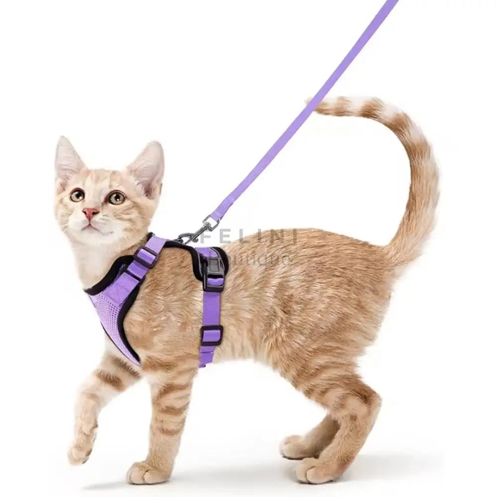 Arnés transpirante Melton - Boutique Felini