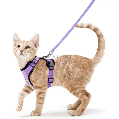 Arnés transpirante Melton - Boutique Felini