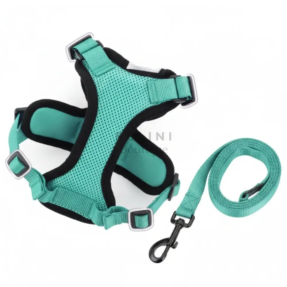 Arnés transpirante Melton - Boutique Felini