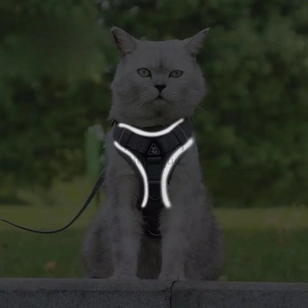 Arnés transpirante y reflectante Wolker - Boutique Felini