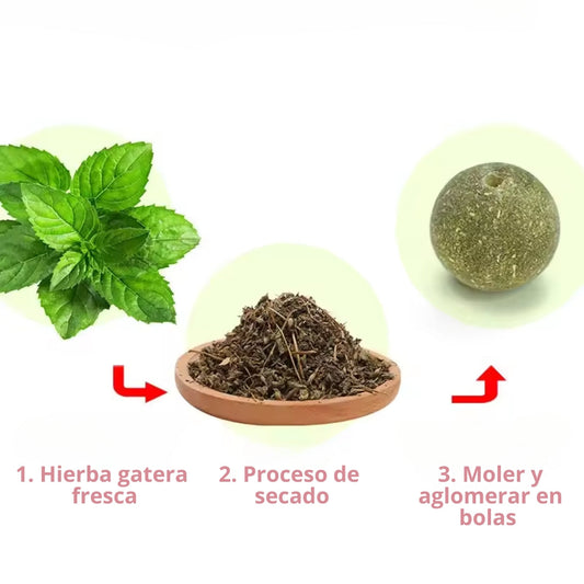 Bola de catnip hierba gatera giratoria CatRoll para pared
