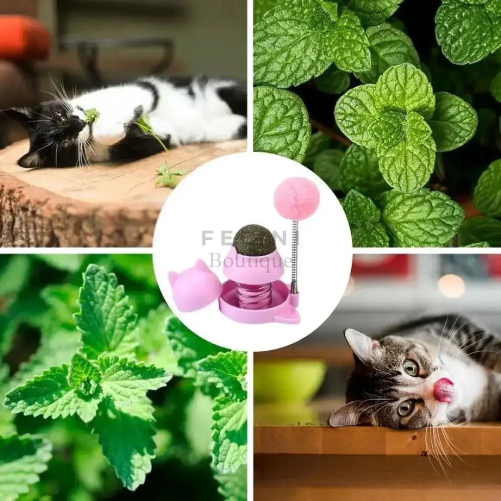 Bola catnip Punching interactiva - Boutique Felini