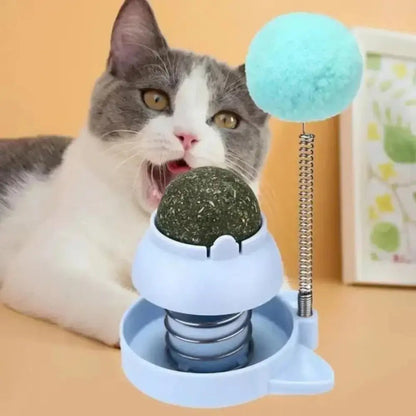Bola catnip Punching interactiva - Boutique Felini