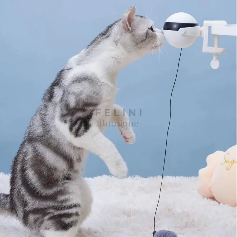 Bola colgante eléctrica portable - Boutique Felini