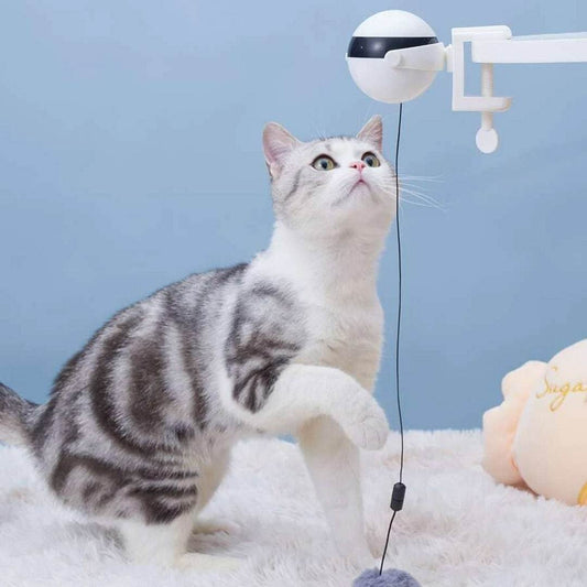 Bola colgante eléctrica portable para gatos