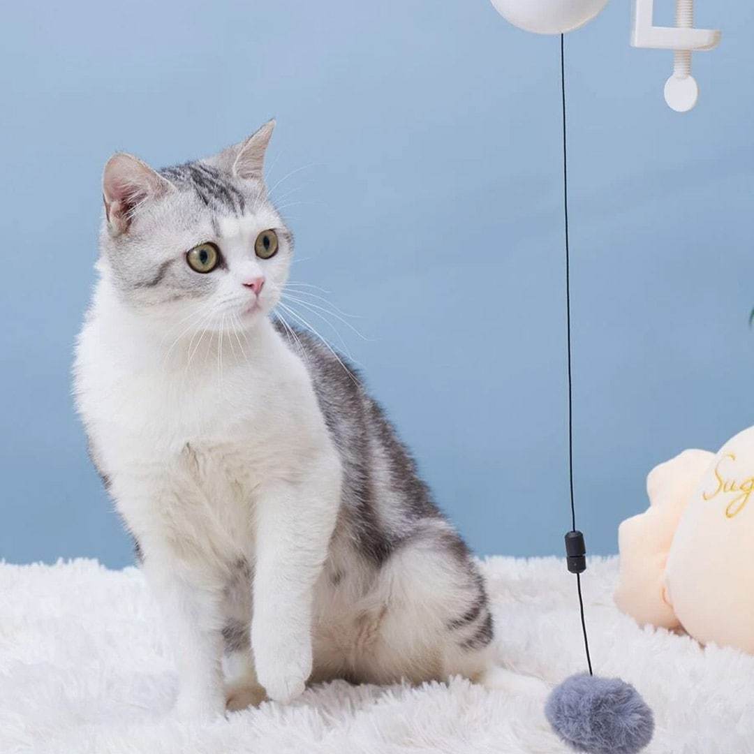 Bola colgante eléctrica portable