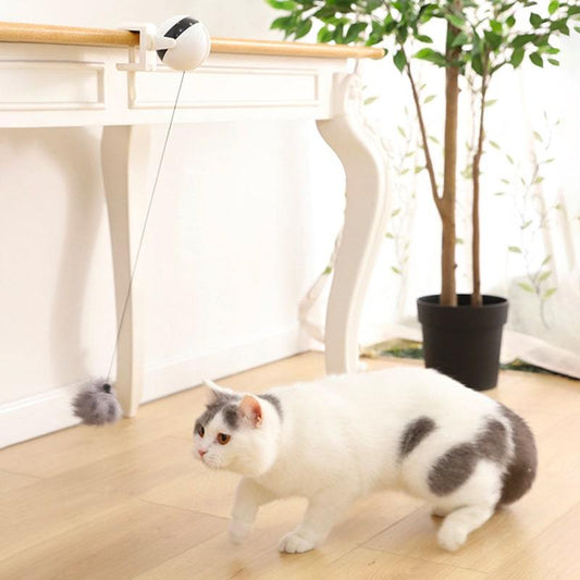 Bola colgante eléctrica portable para gatos
