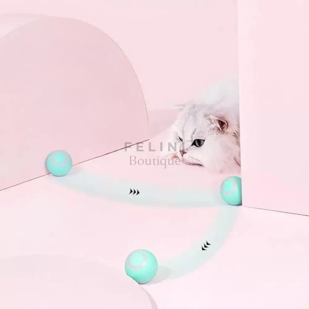 Bola interactiva BalanceCat - Boutique Felini