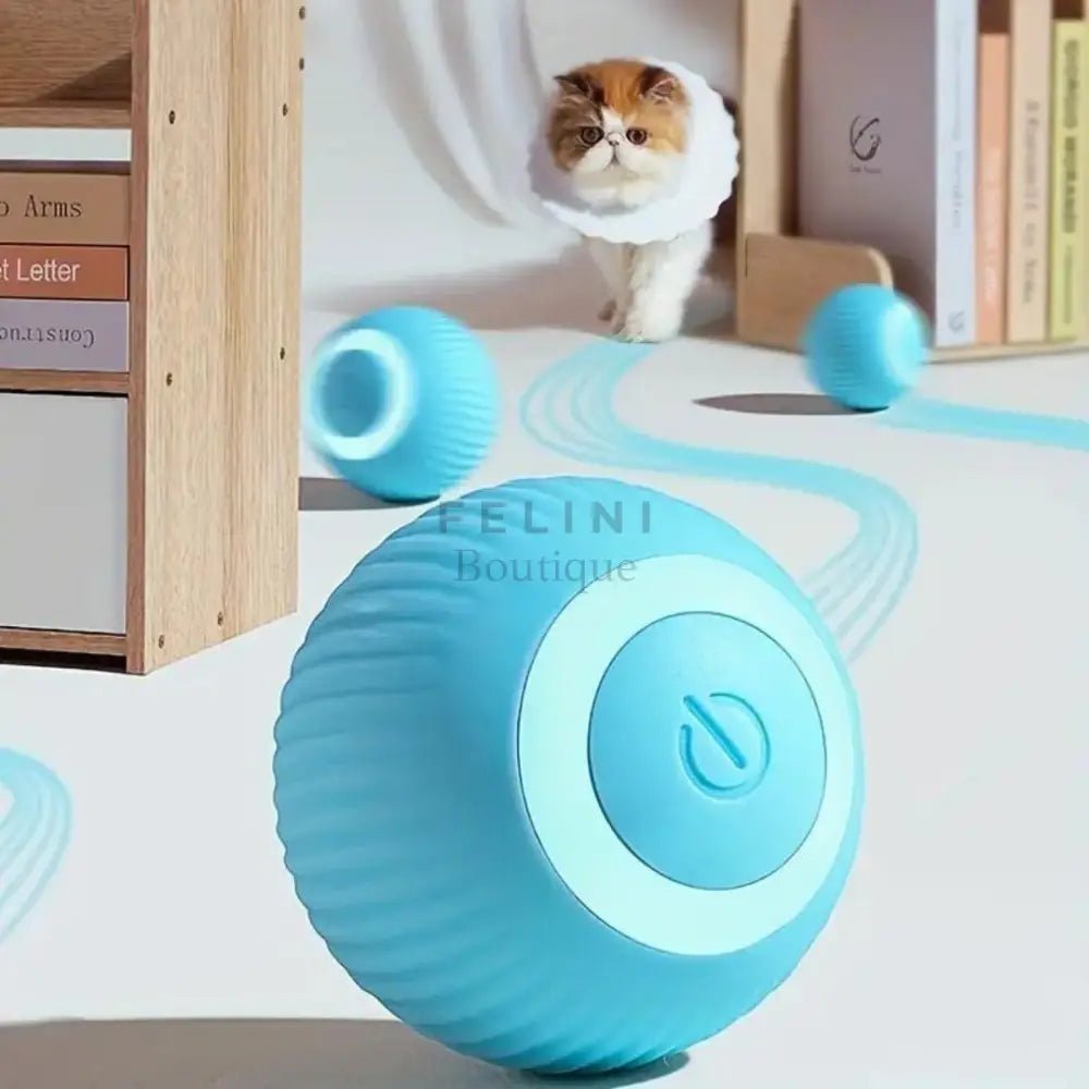 Bola interactiva BalanceCat - Boutique Felini