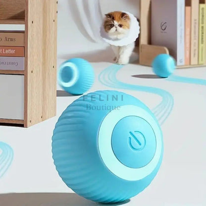 Bola interactiva BalanceCat - Boutique Felini