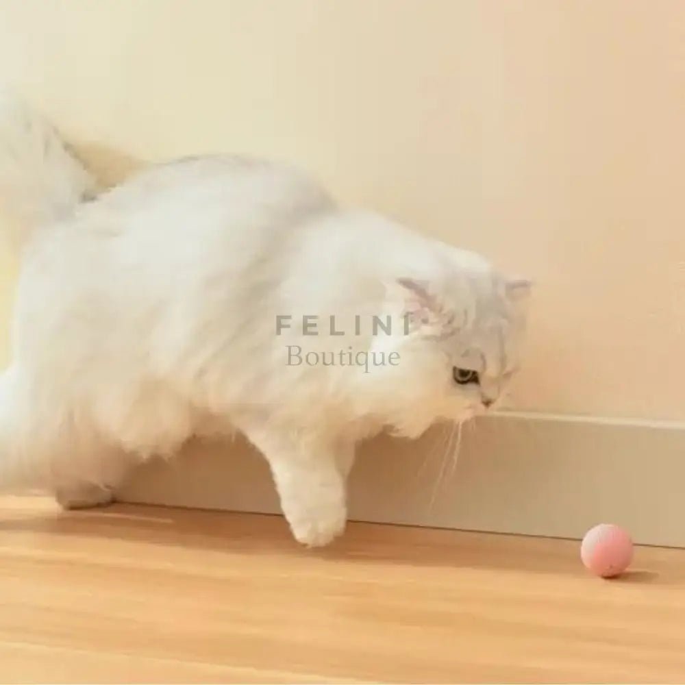 Bola interactiva BalanceCat - Boutique Felini