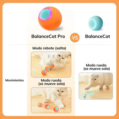 Bola interactiva BalanceCat PRO - Boutique Felini