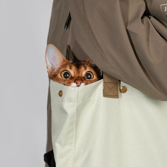 Bolso Tote Bag de transporte para gatos