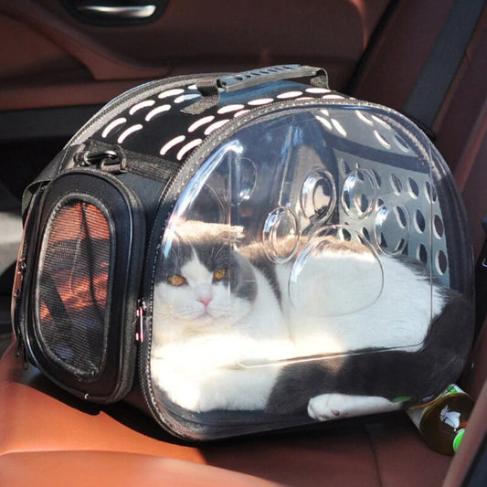Bolso transportín transparente para gatos