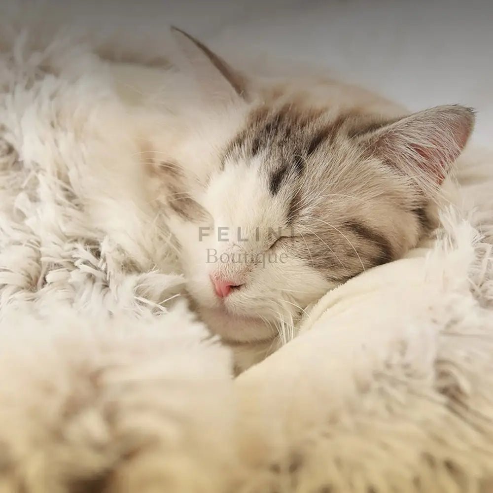 Cama Cozy - Boutique Felini