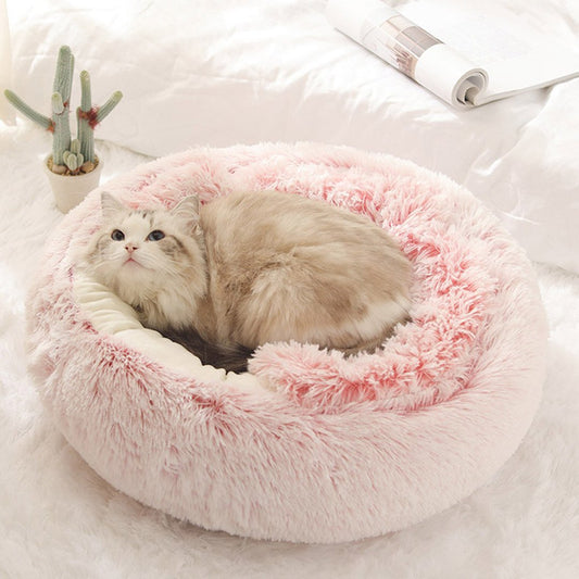 Cama Cozy para gatos