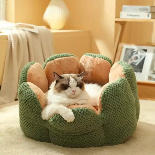 Cama suave Cactus - Boutique Felini