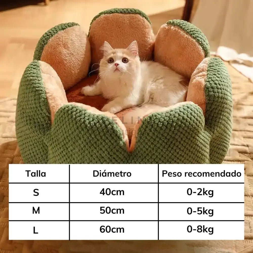 Cama suave Cactus - Boutique Felini