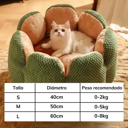 Cama suave Cactus - Boutique Felini