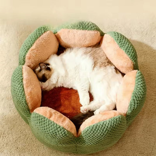 Cama suave Cactus para gatos