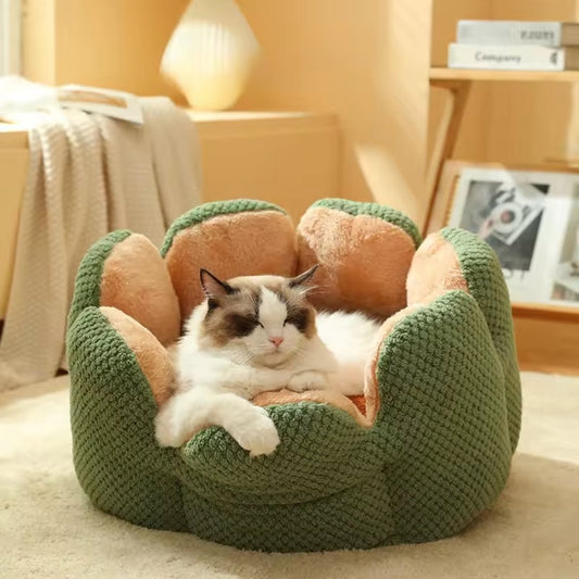 Cama suave Cactus para gatos