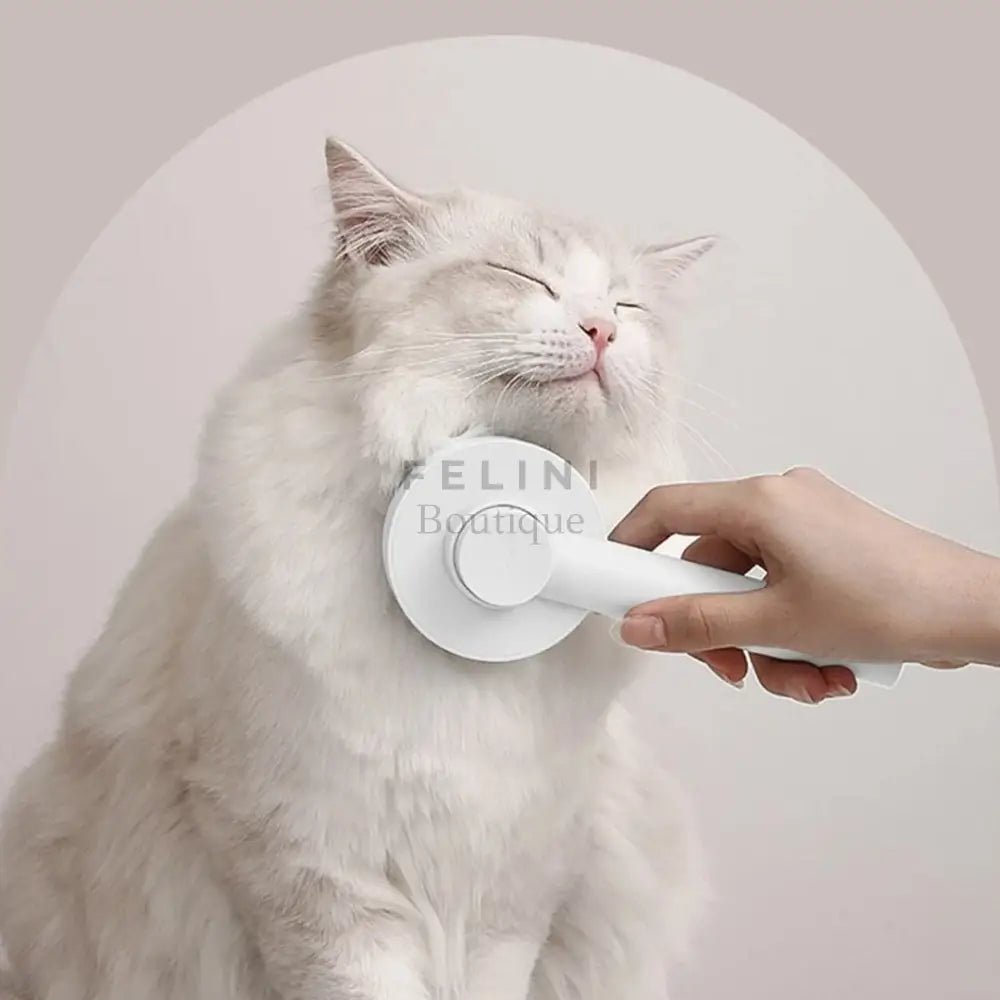 Cepillo Push - Boutique Felini